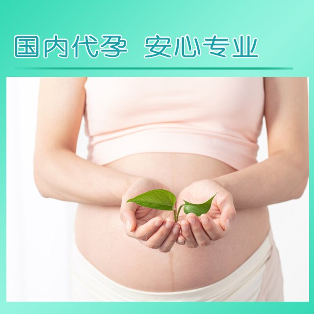 自精自卵 . 代孕必看